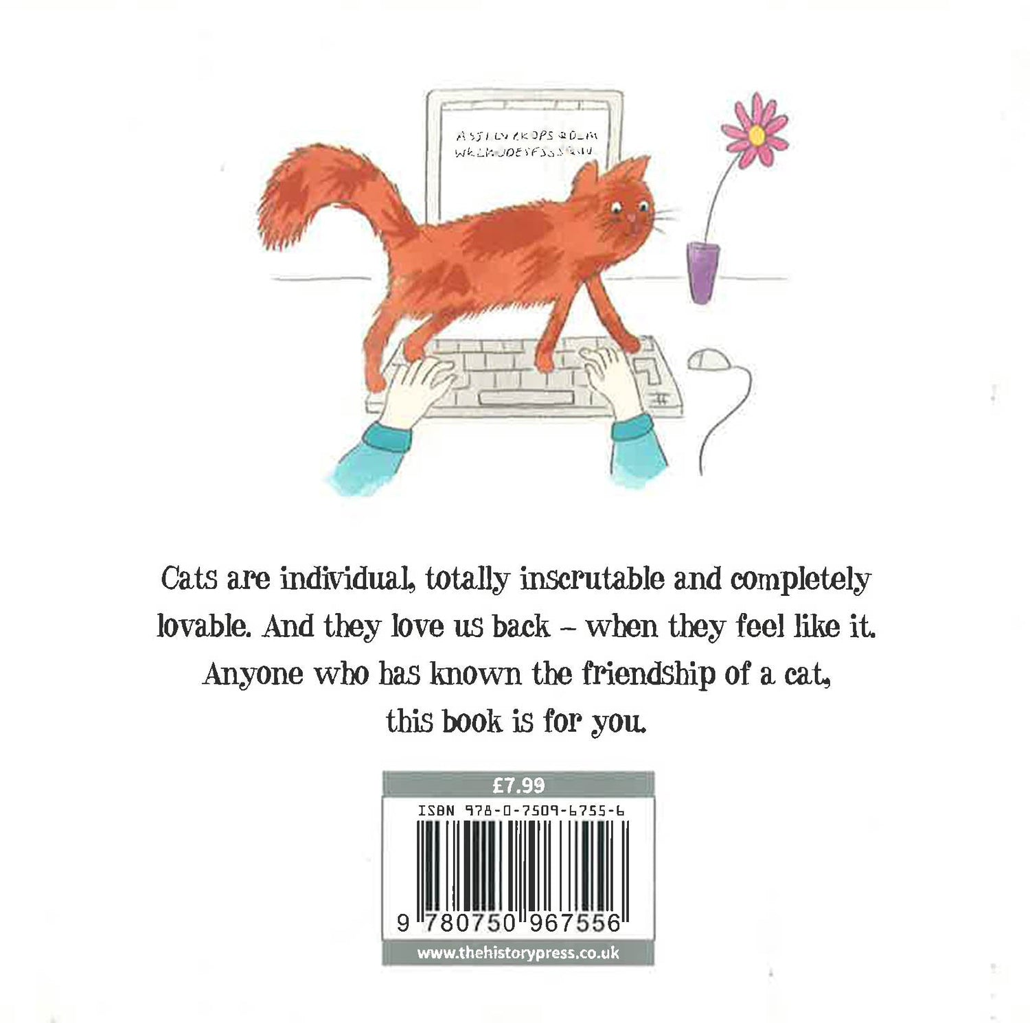 Toes Book Cats – BookXcess