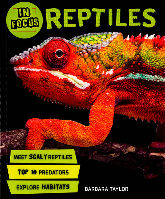 In Focus: Reptiles