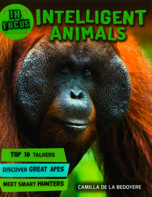 In Focus: Intelligent Animals