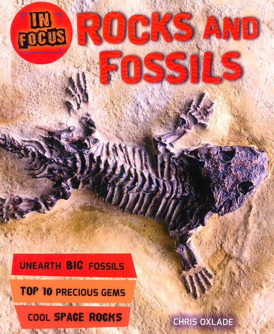 In Focus: Rocks And Fossils