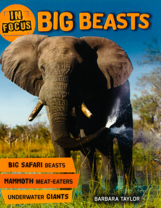 In Focus: Big Beasts