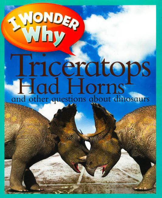 I Wonder Why Triceratops Had Horns: And Other Que