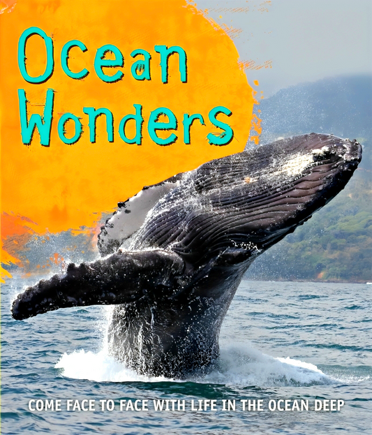 Fast Facts: Ocean Wonders