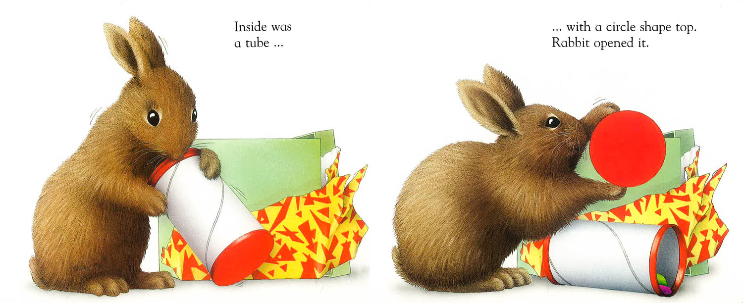 Brown Rabbit's Shapes (Little Rabbit Books) – BookXcess