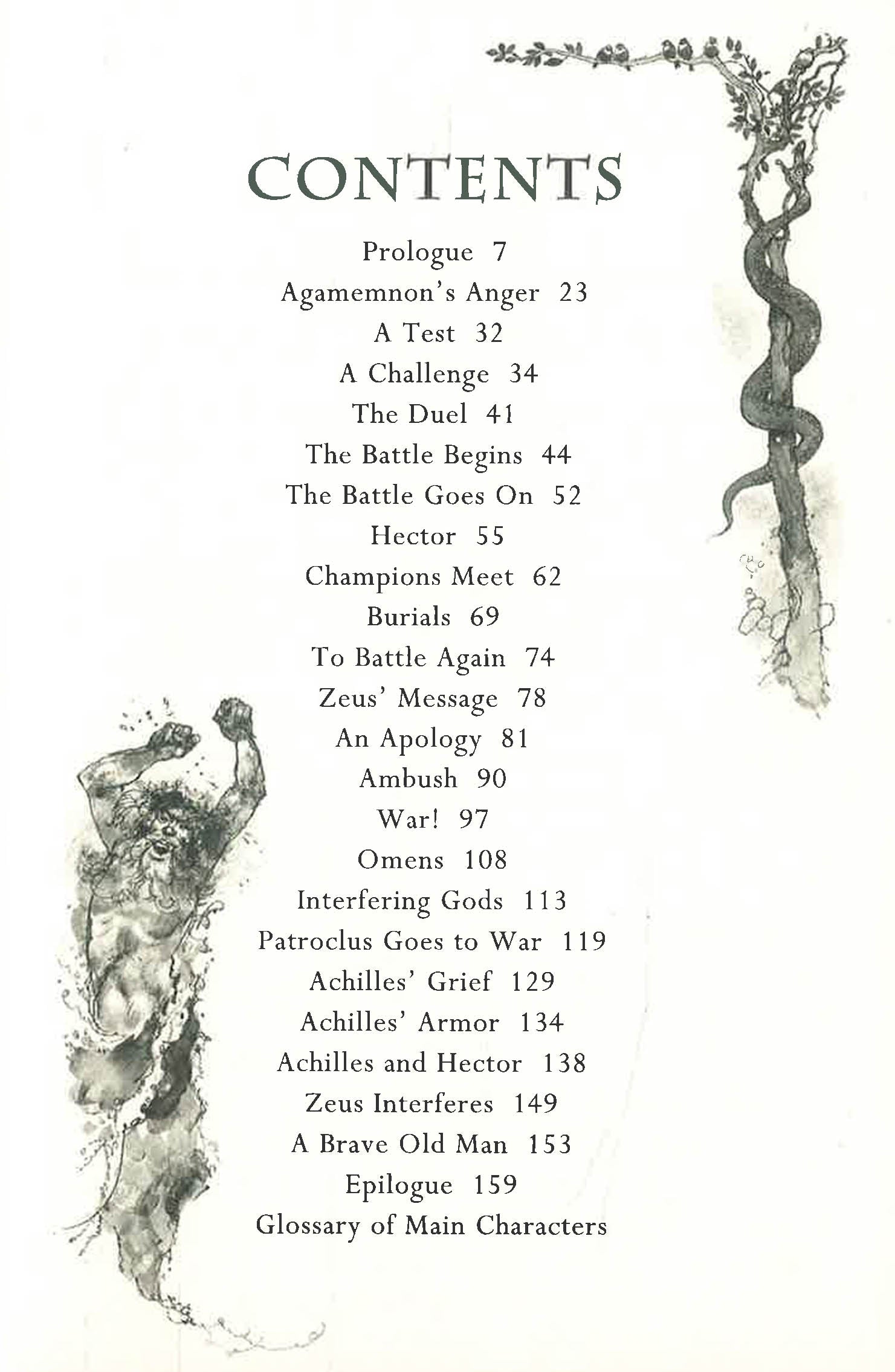Homer's Iliad – BookXcess