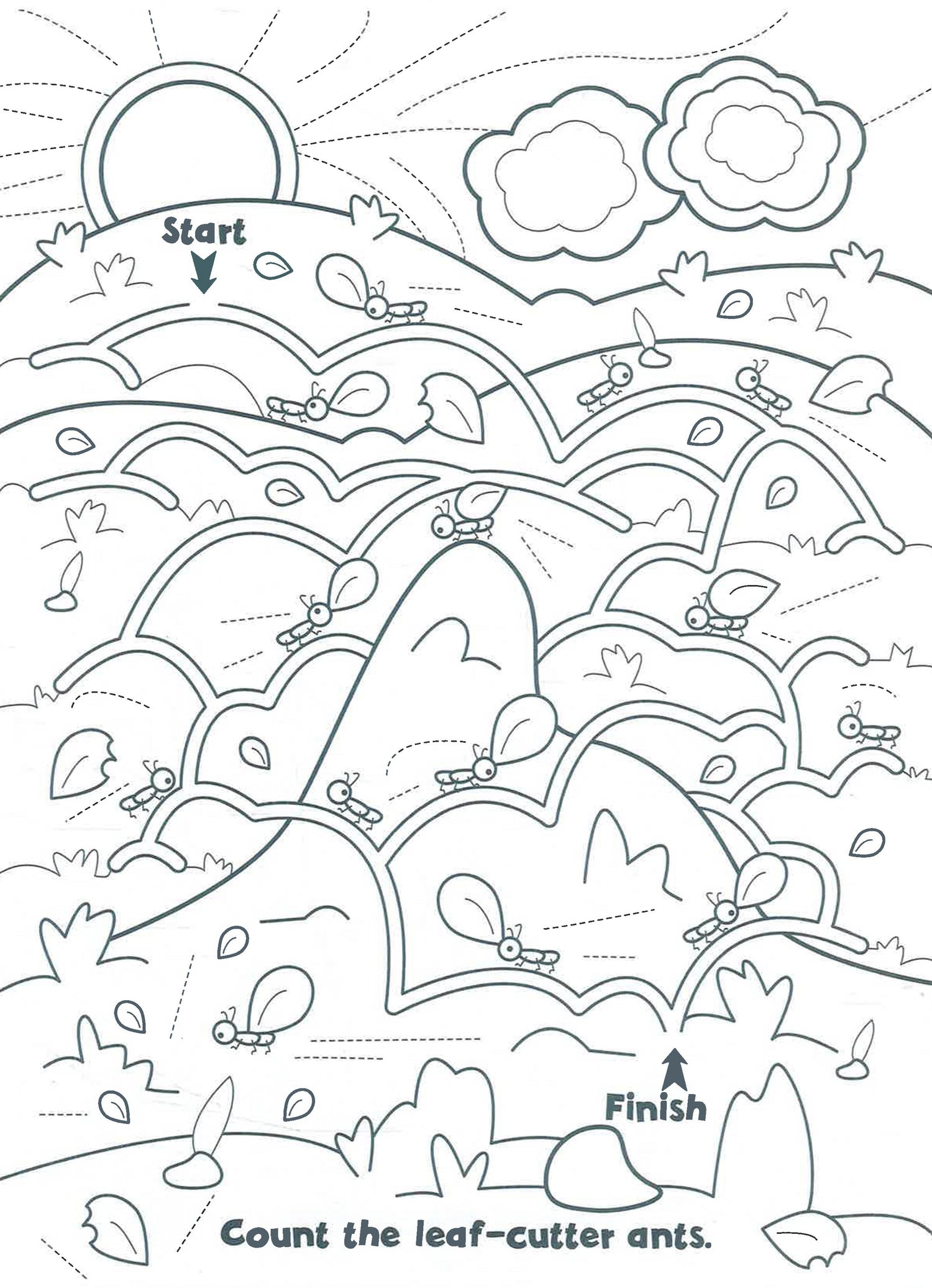 Maze Find & Colour Bugs & Insects Sticker & Colouring Book by North Parade Publishing – book cover