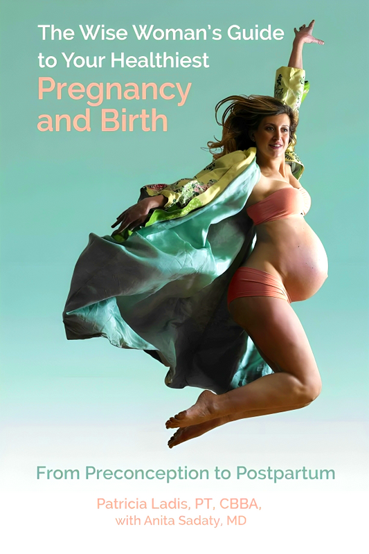 The Wise Woman's Guide To Your Healthiest Pregnancy And Birth