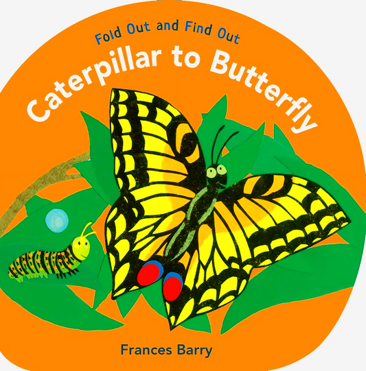 Caterpillar To Butterfly: Fold Out And Find Out