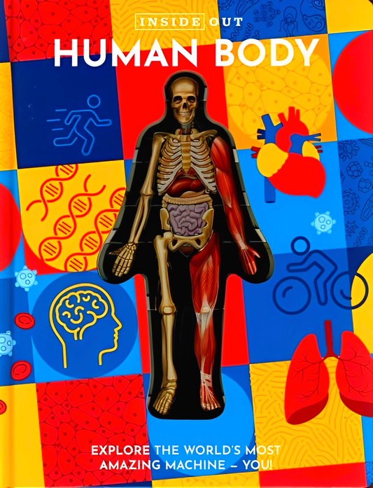 Inside Out Human Body