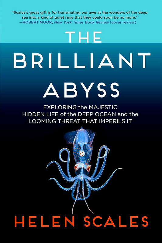 The Brilliant Abyss