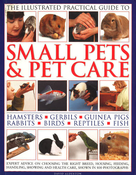 Small Pets & Pet Care