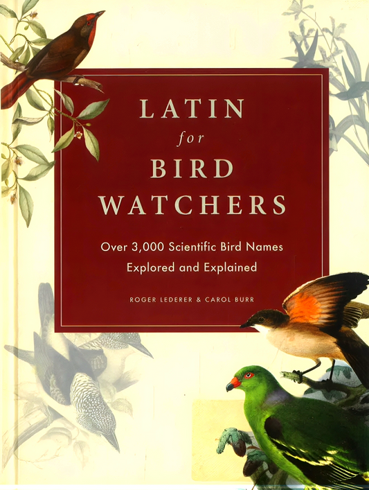 Latin For Bird Watchers