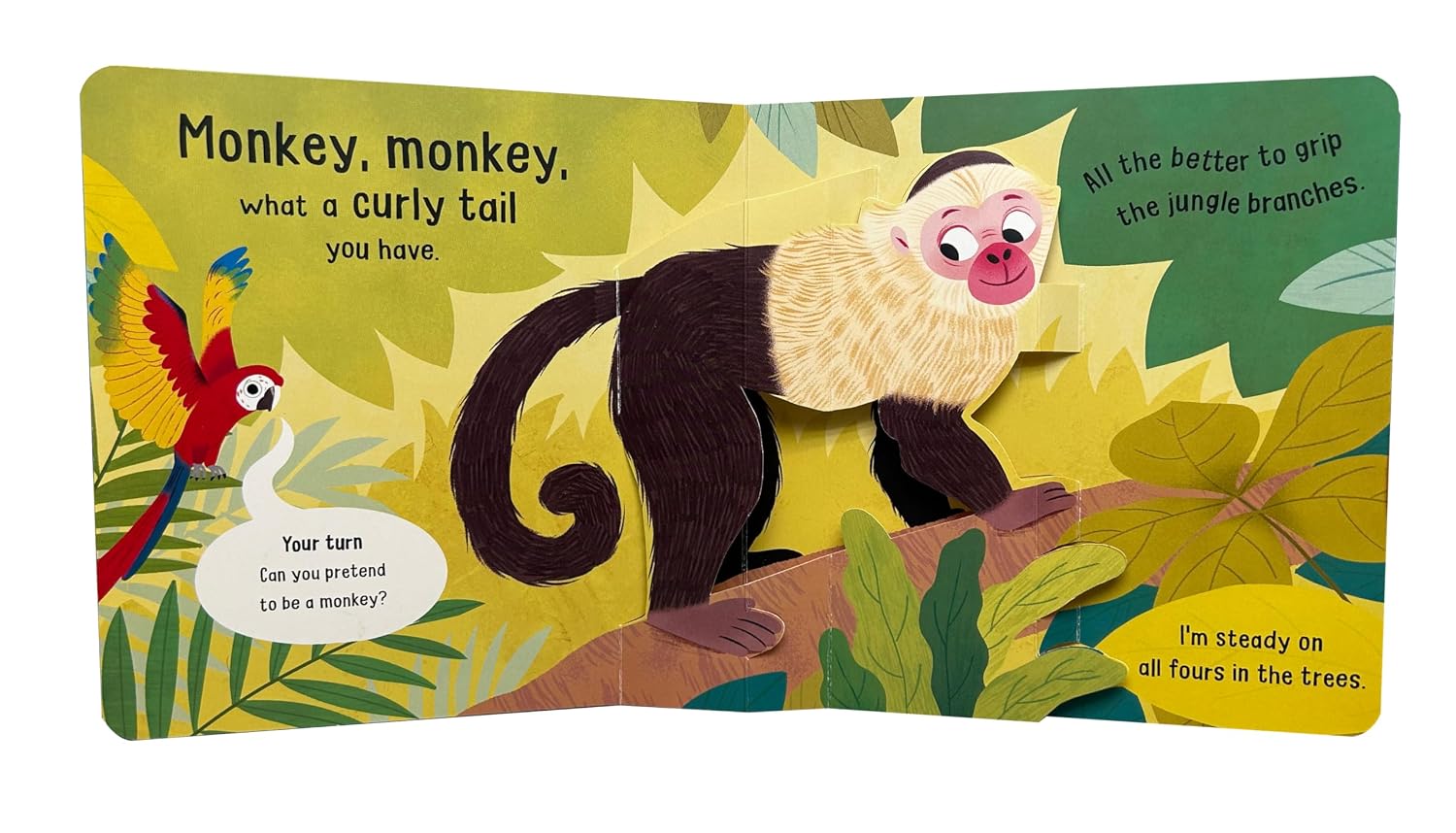 Monkey, Monkey, What A Curly Tail You Have! by Campbell Books – book cover