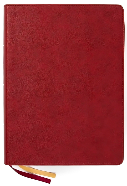 CSB Holy Land Illustrated Bible (Burgundy Leathertouch)