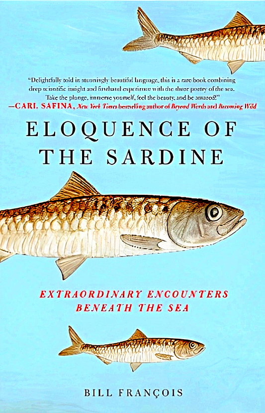 Eloquence Of The Sardine: Extraordinary Encounters Beneath The Sea
