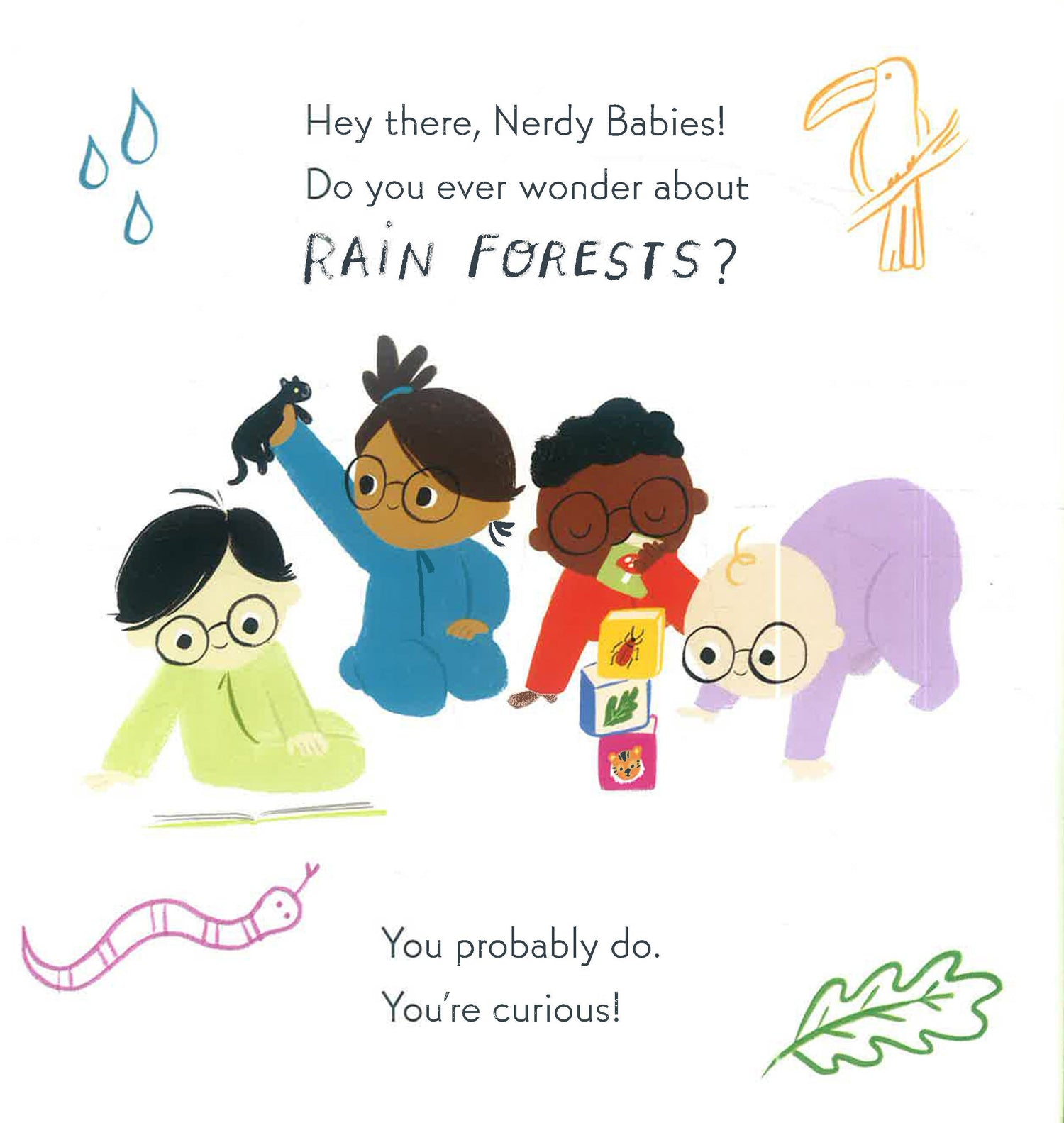 Nerdy Babies: Rain Forests by Emmy Kastner – book cover