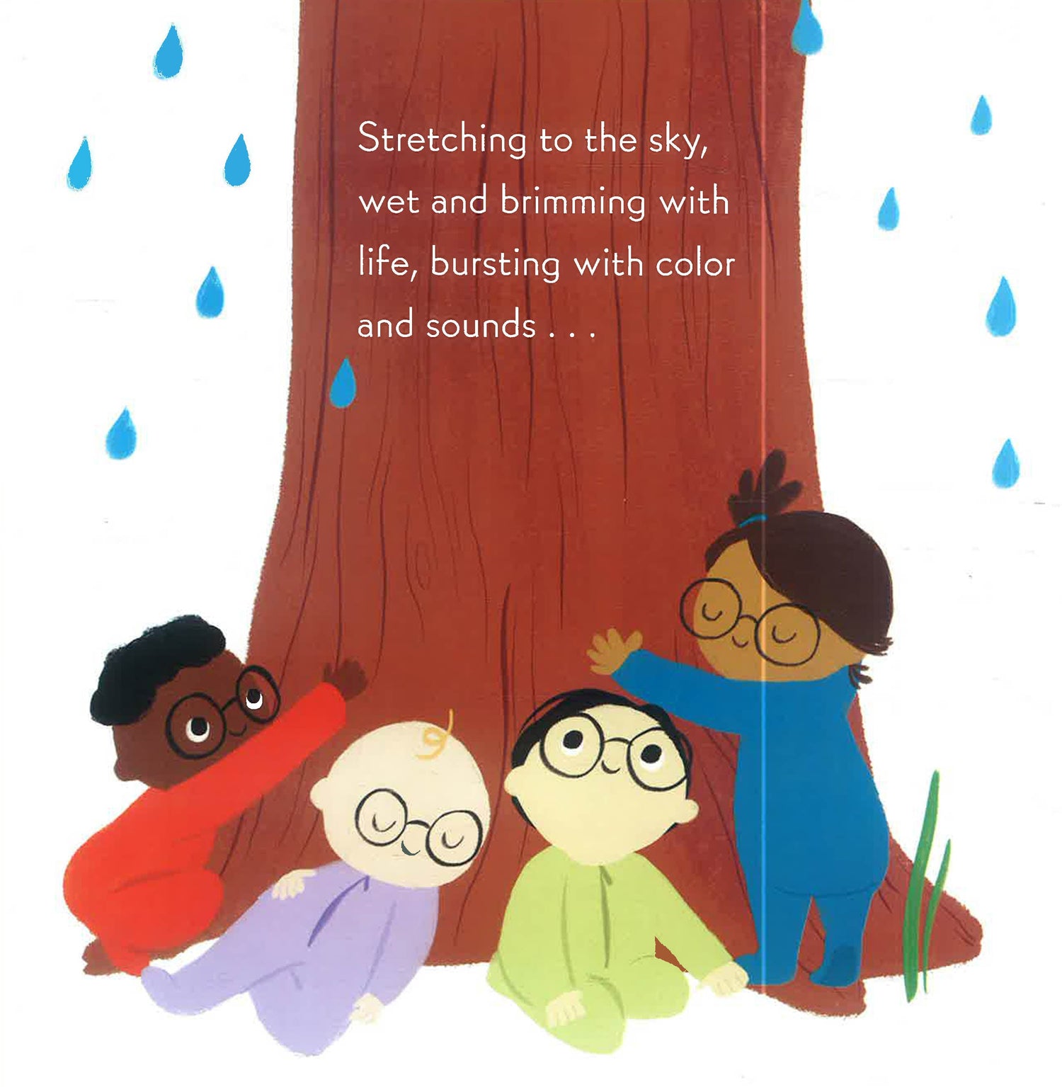 Nerdy Babies: Rain Forests by Emmy Kastner – book cover