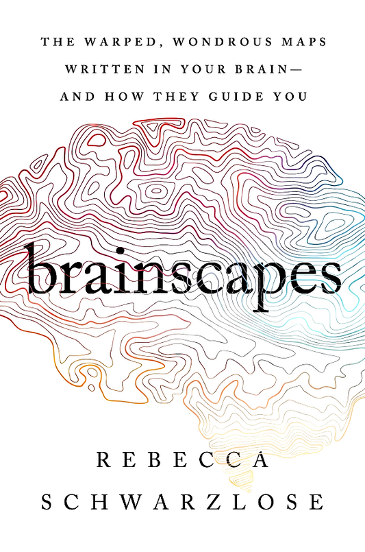 Brainscapes