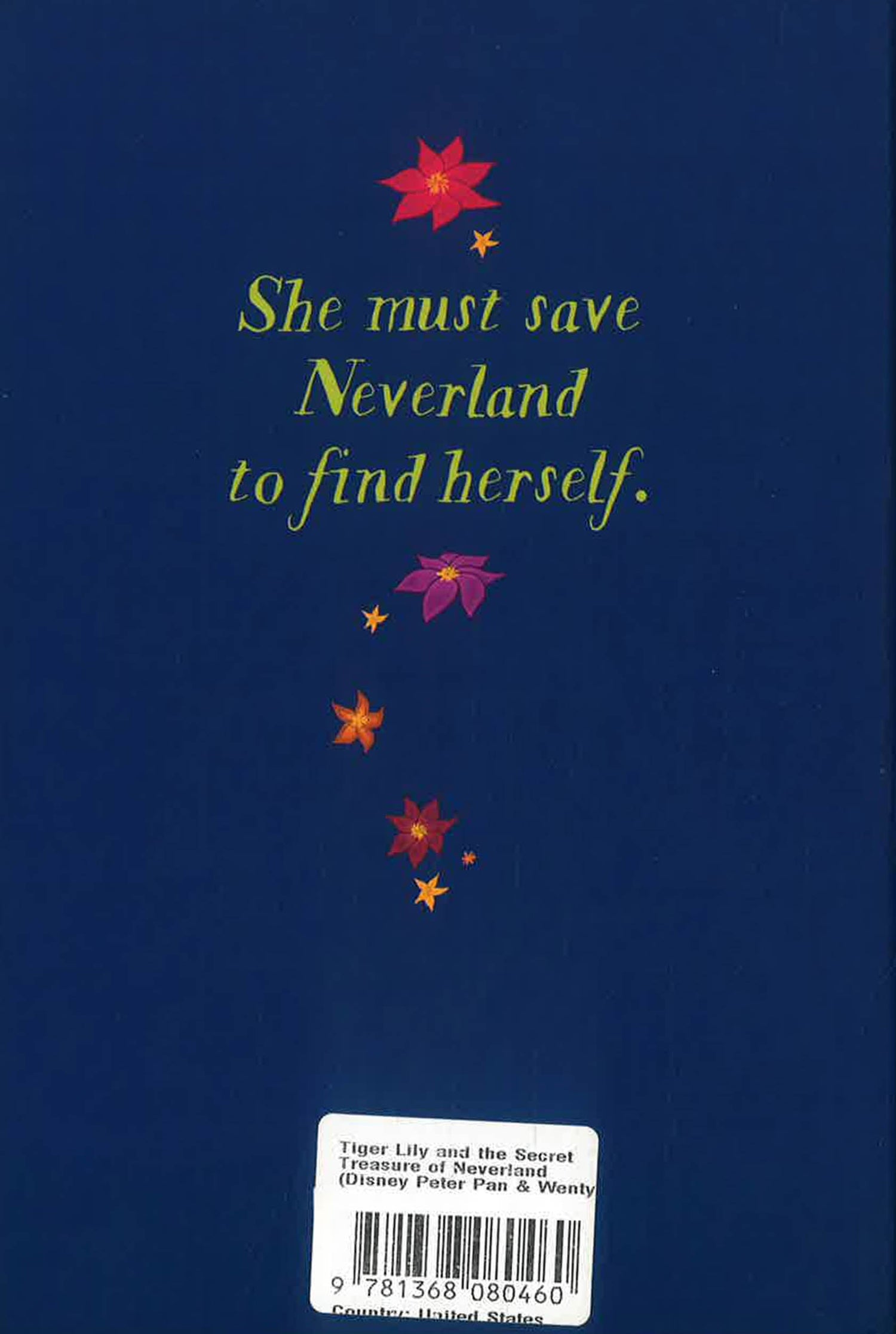 tiger lily and the secret treasure of neverland Tiger Lily And The Secret Treasure Of Neverland (Disney Peter Pan & We – BookXcess