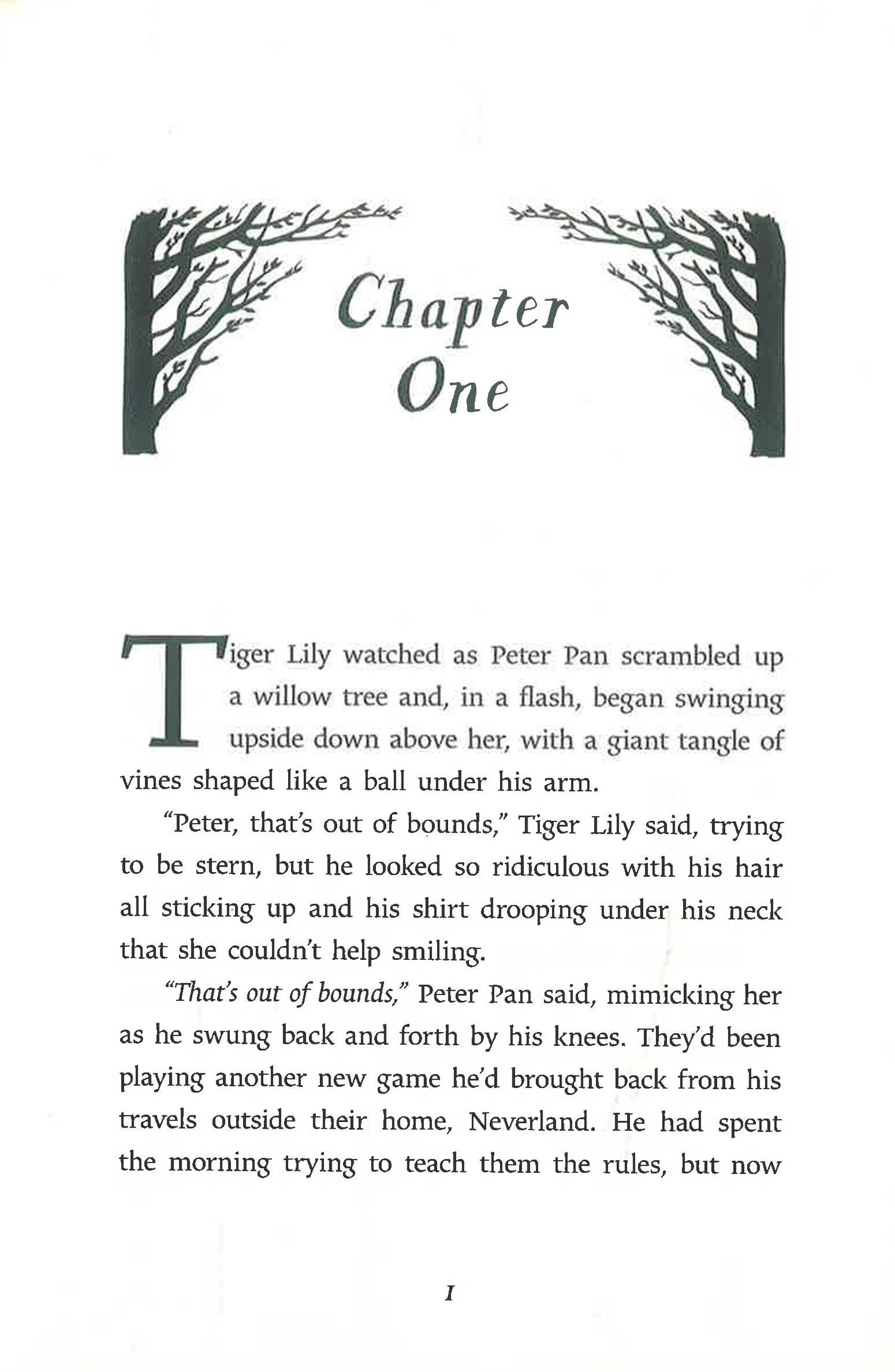 neverland tiger lily Tiger Lily And The Secret Treasure Of Neverland (Disney Peter Pan & We – BookXcess