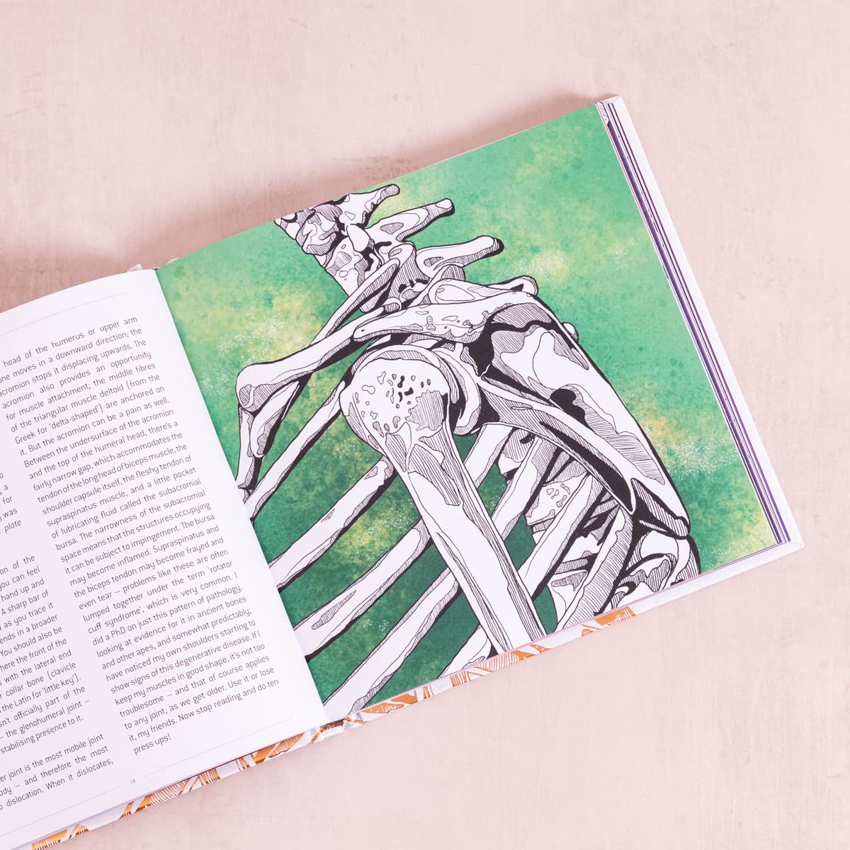 Anatomical Oddities by Alice Roberts – book cover