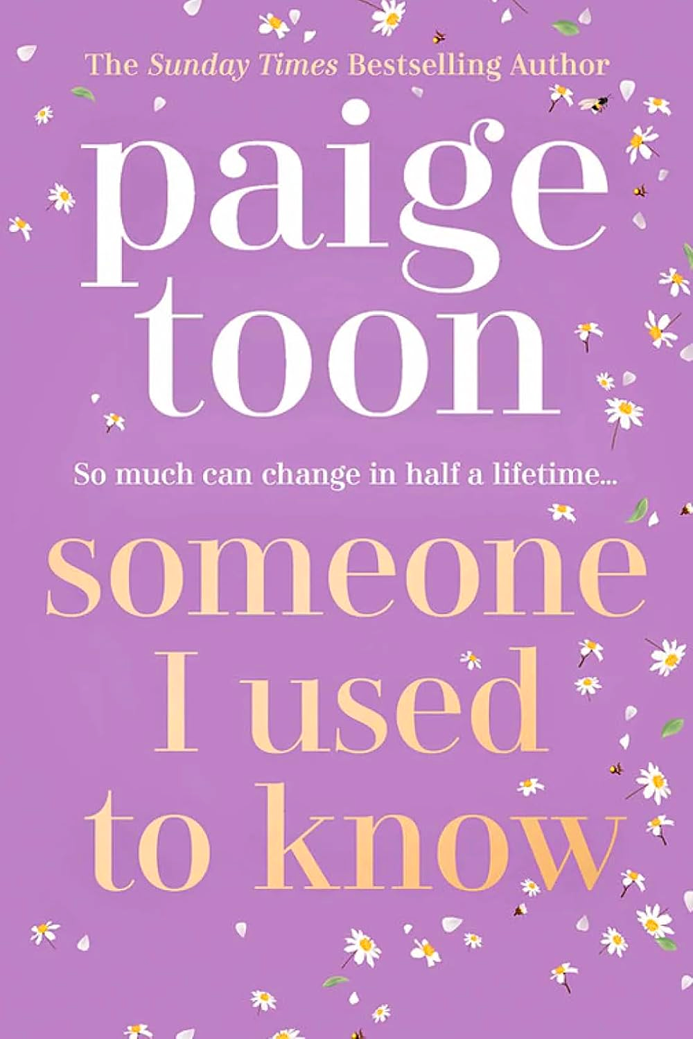 Someone I Used To Know by Paige Toon – book cover