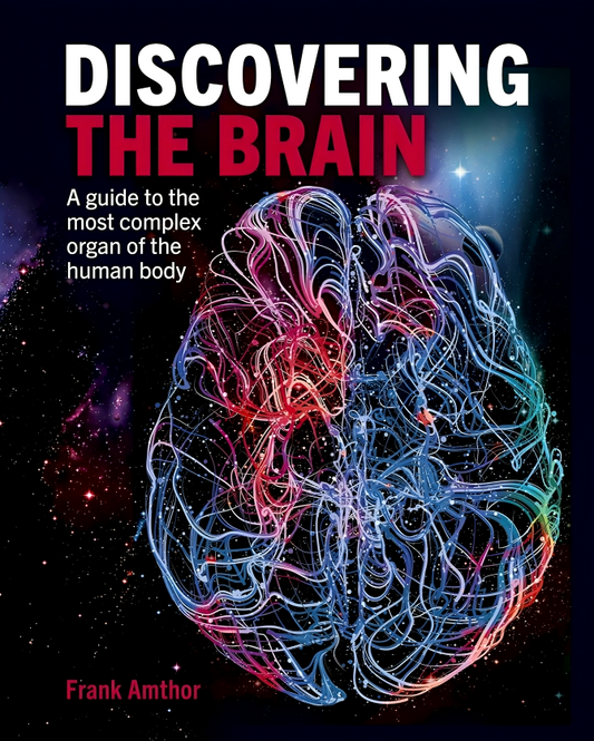 Discovering The Brain: Guide To The Most Complex Organ Of The Human Body