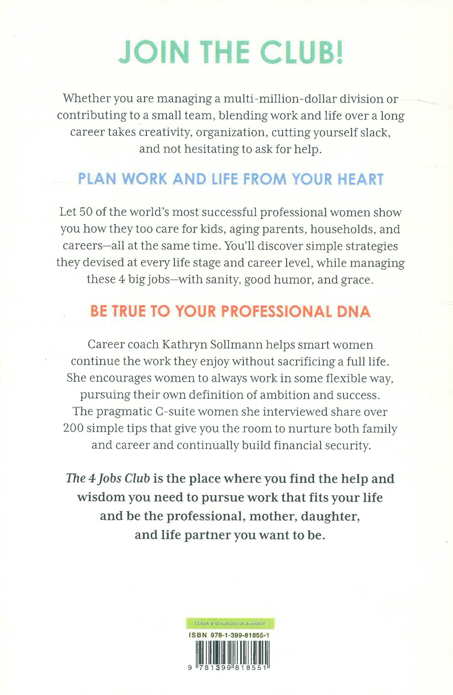 The 4 Jobs Club by Kathryn Sollmann – book cover