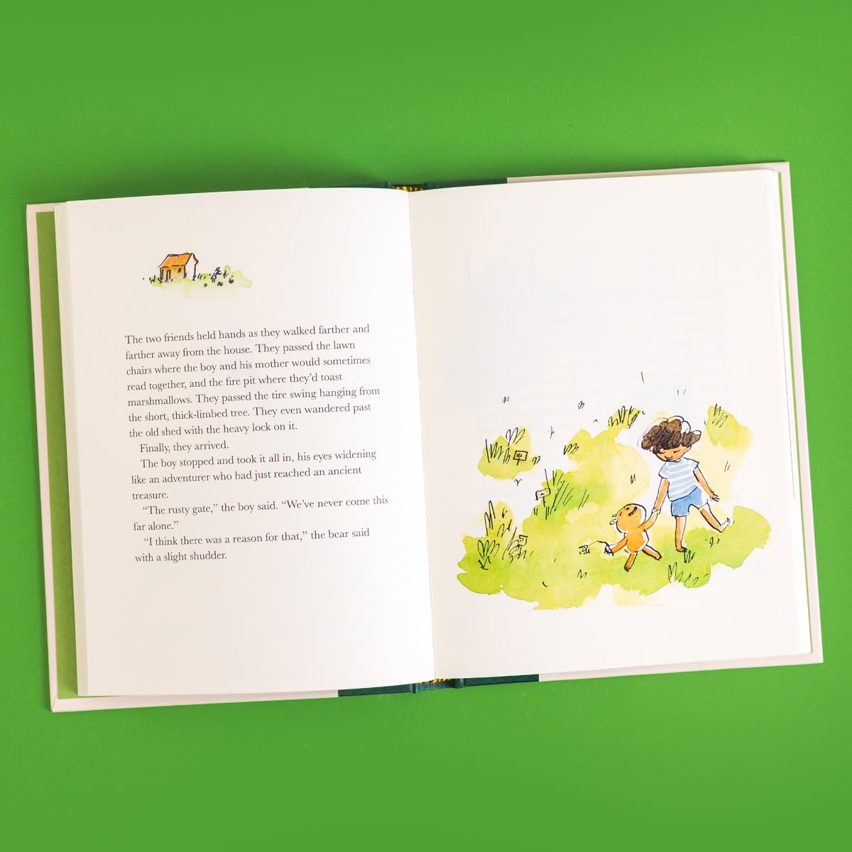 Into The Uncut Grass by Trevor Noah – book cover