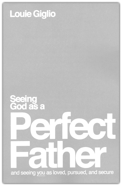 Seeing God As A Perfect Father: And Seeing You As Loved, Pursued, And Secure