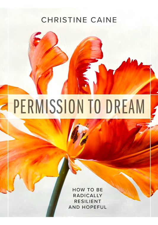 Permission To Dream: How To Be Radically Resilient And Hopeful