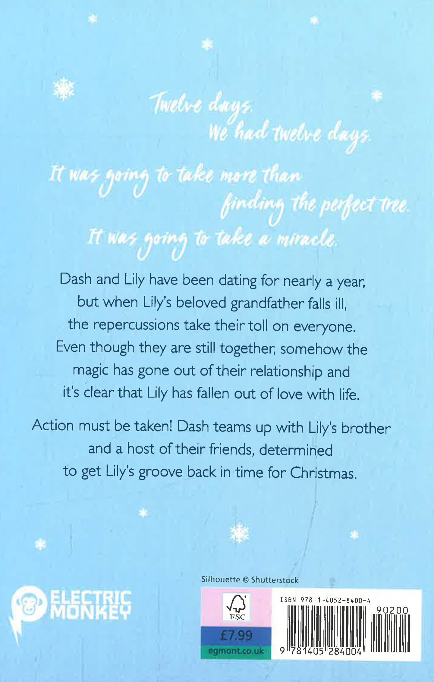 The Twelve Days Of Dash And Lily by Rachel Cohn; David Levithan – book cover