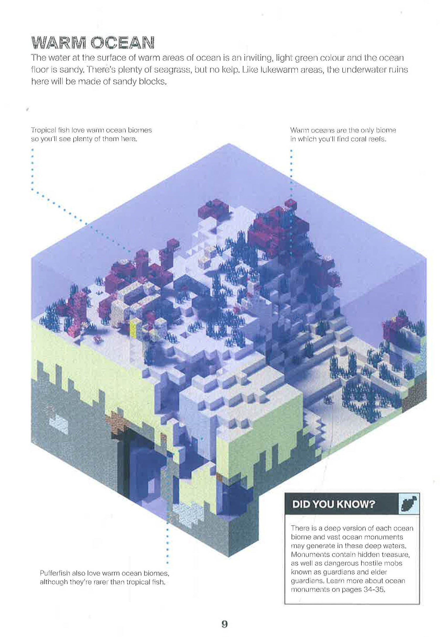 Minecraft Guide To Ocean Survival – BookXcess