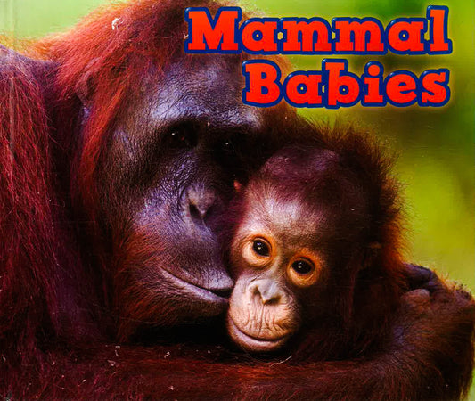 Mammal Babies