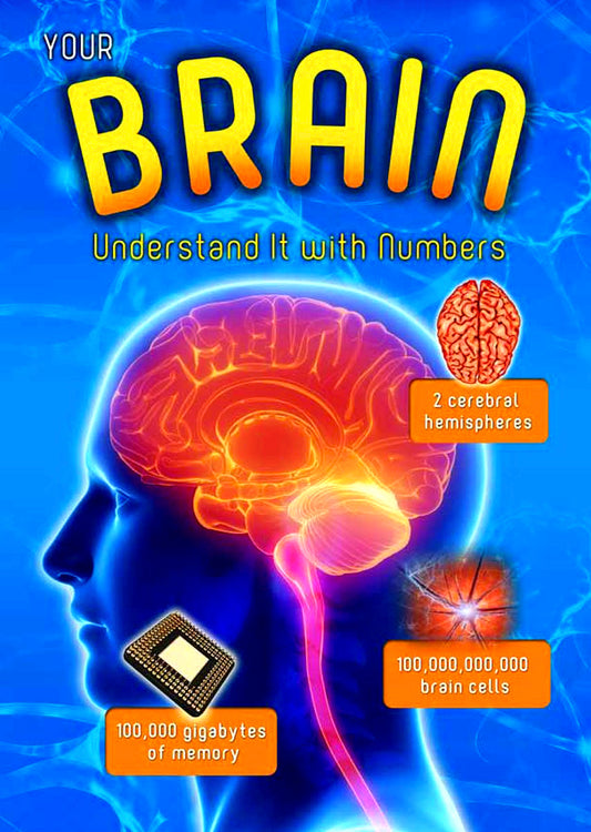 [Bargain corner] Your Brain