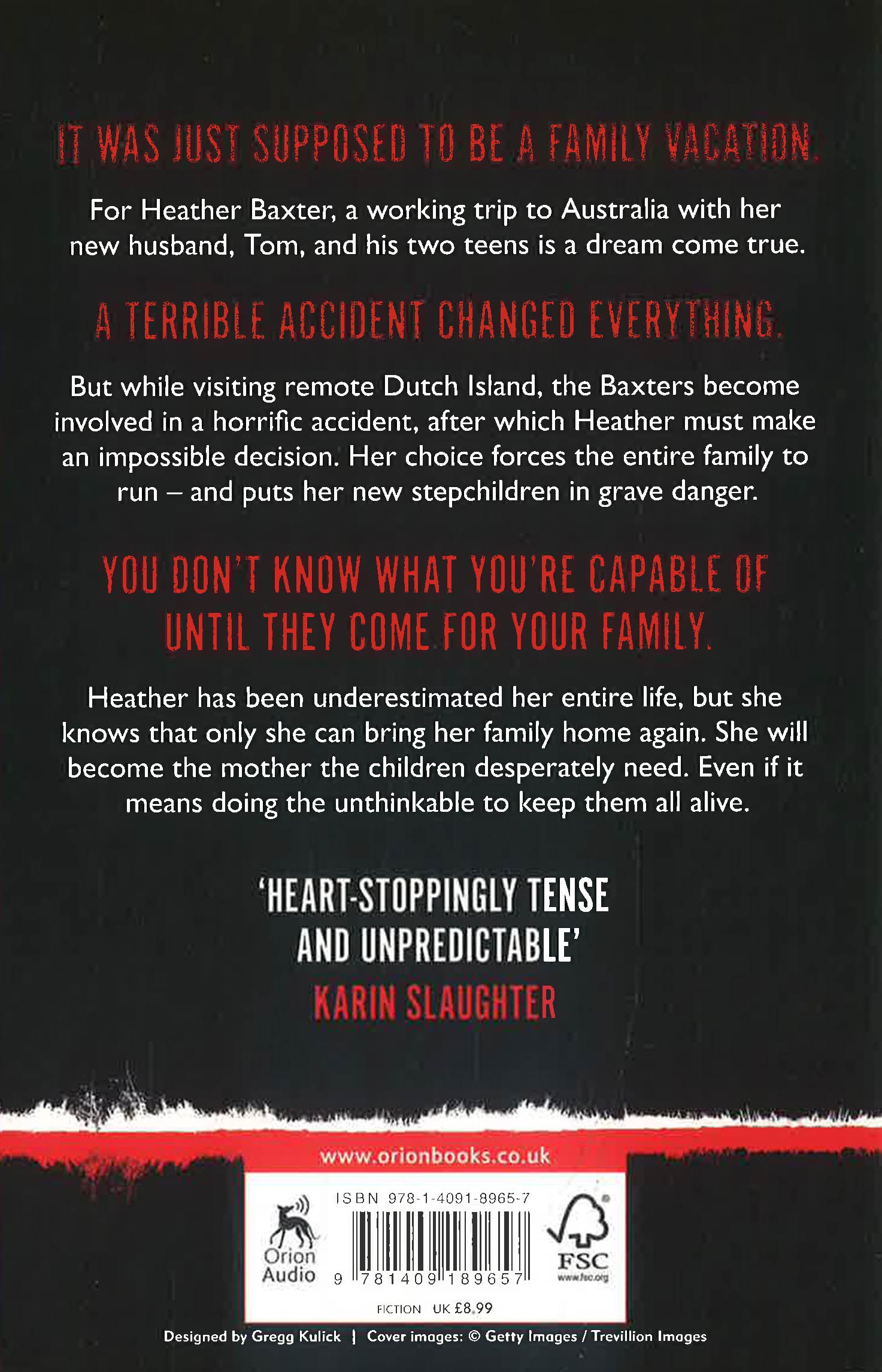 The Island by Adrian Mckinty – book cover