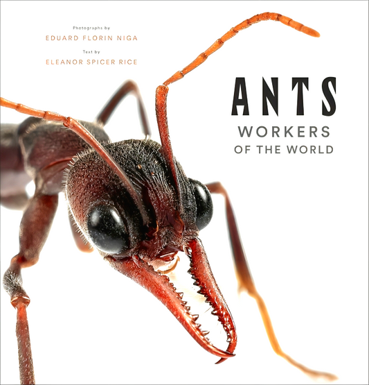 Ants: Workers Of The World