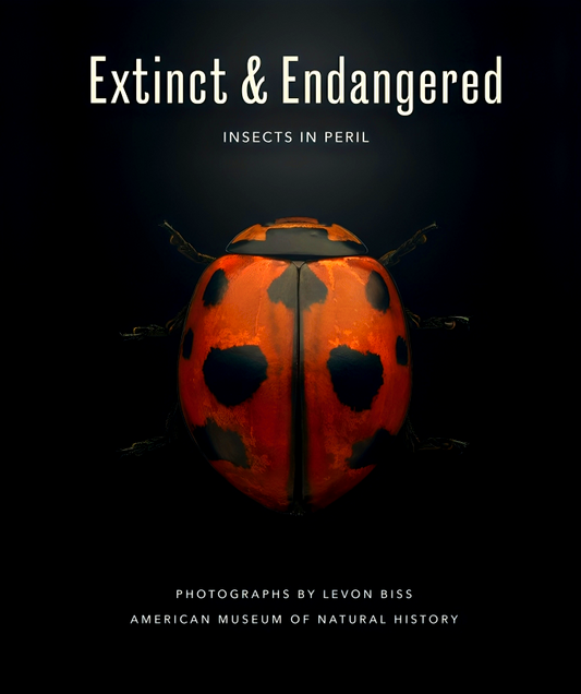 Extinct & Endangered: Insects In Peril