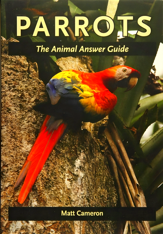 Parrots: The Animal Answer Guide