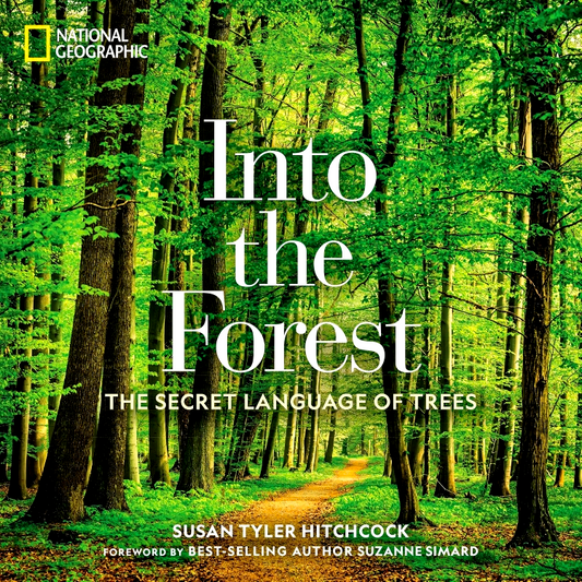 Into the Forest: The Secret Language of Trees