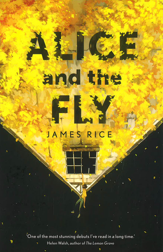 Alice And The Fly