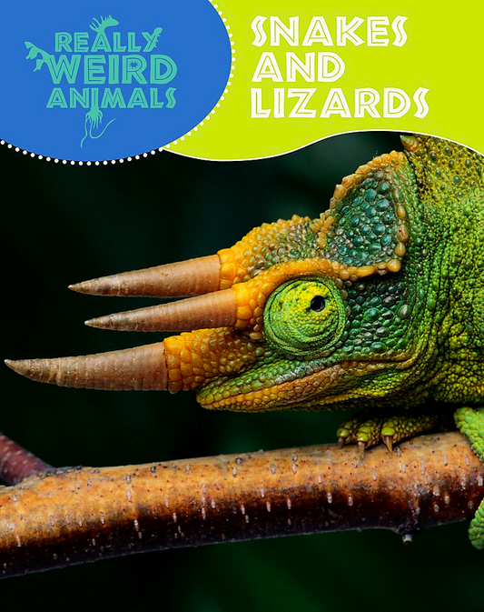Really Weird Animals: Snakes & Lizards