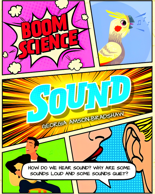 (Original Price RM17.90) Science In A Flash: Sound