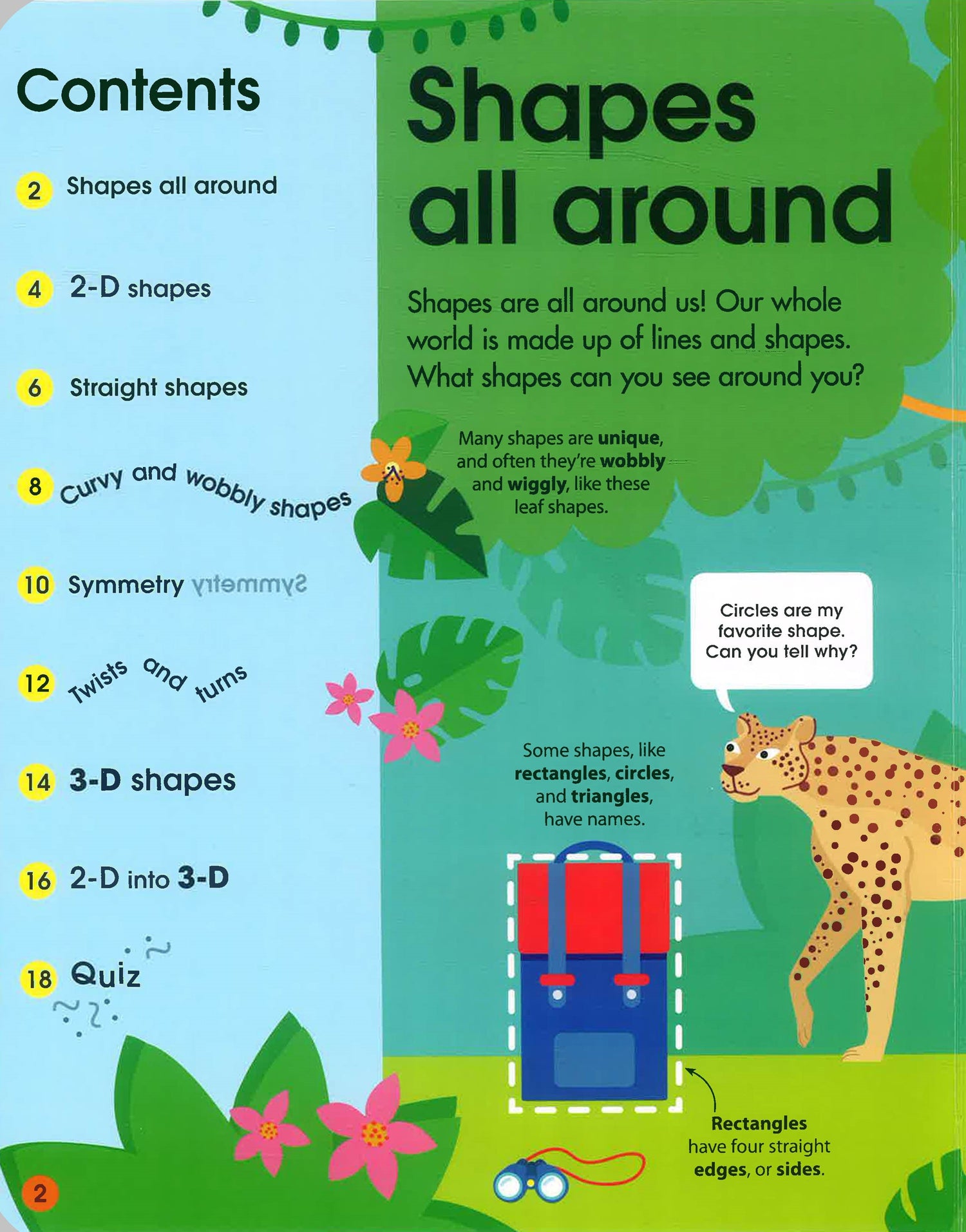 Geometry Genius: Lift and Learn: filled with flaps to make math fun ...