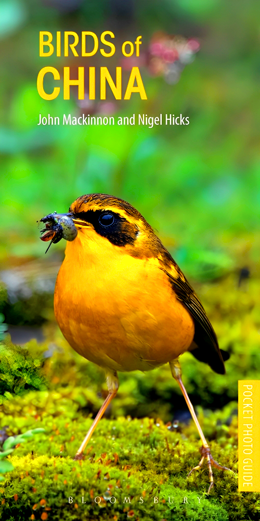 Pocket Photo Guides: Birds of China