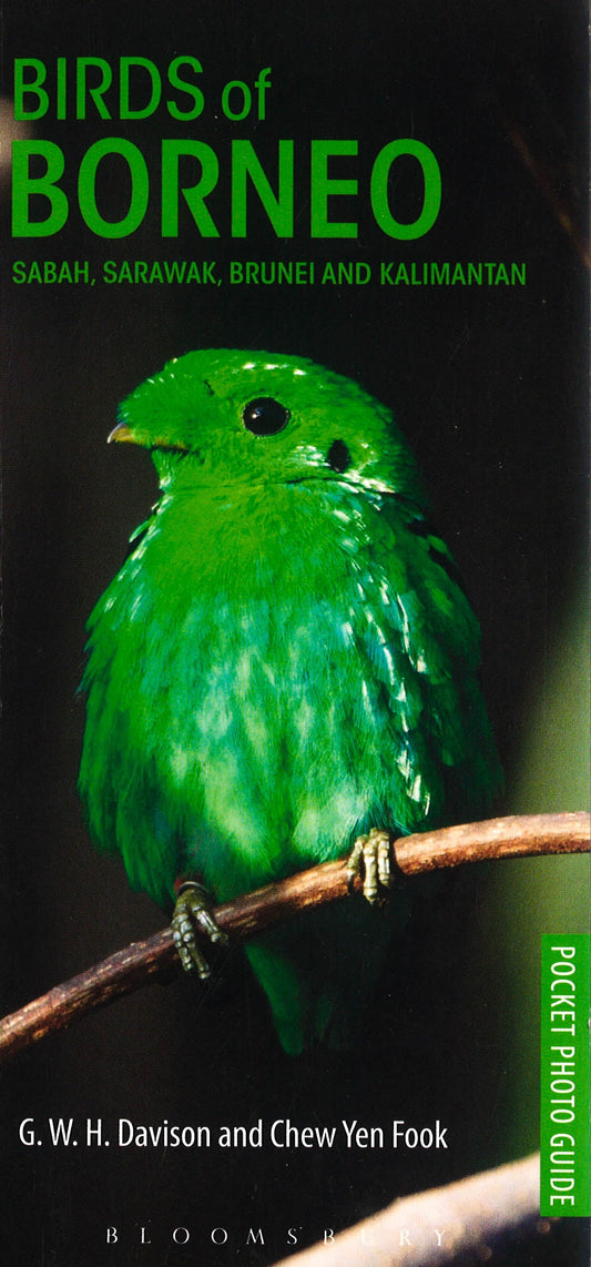 Birds Of Borneo