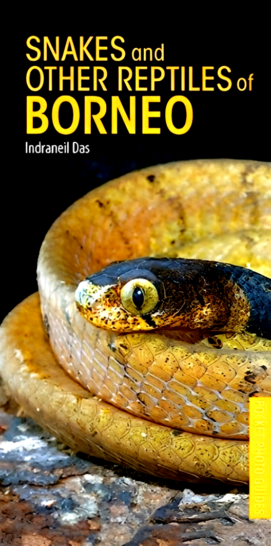 Pocket Photo Guides: Snakes And Other Reptiles Of Borneo
