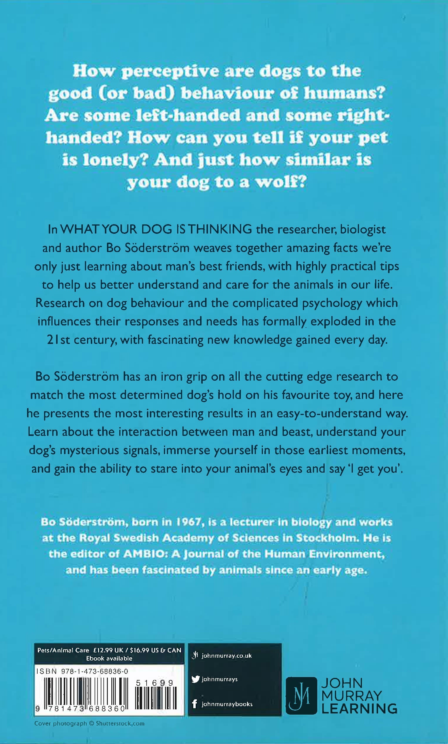 Dog Psychology What Do Dogs Think What's My Dog Thinking Just For Pets