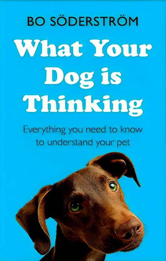 What Your Dog Is Thinking: Everything you need to know to understand your pet