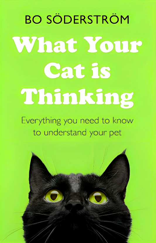 What Your Cat Is Thinking: Everything you need to know to understand your pet